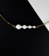 collar BETA